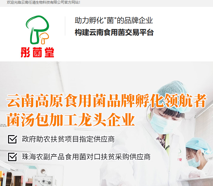 云南任清生物科技有限公司-營銷型網站案例展示